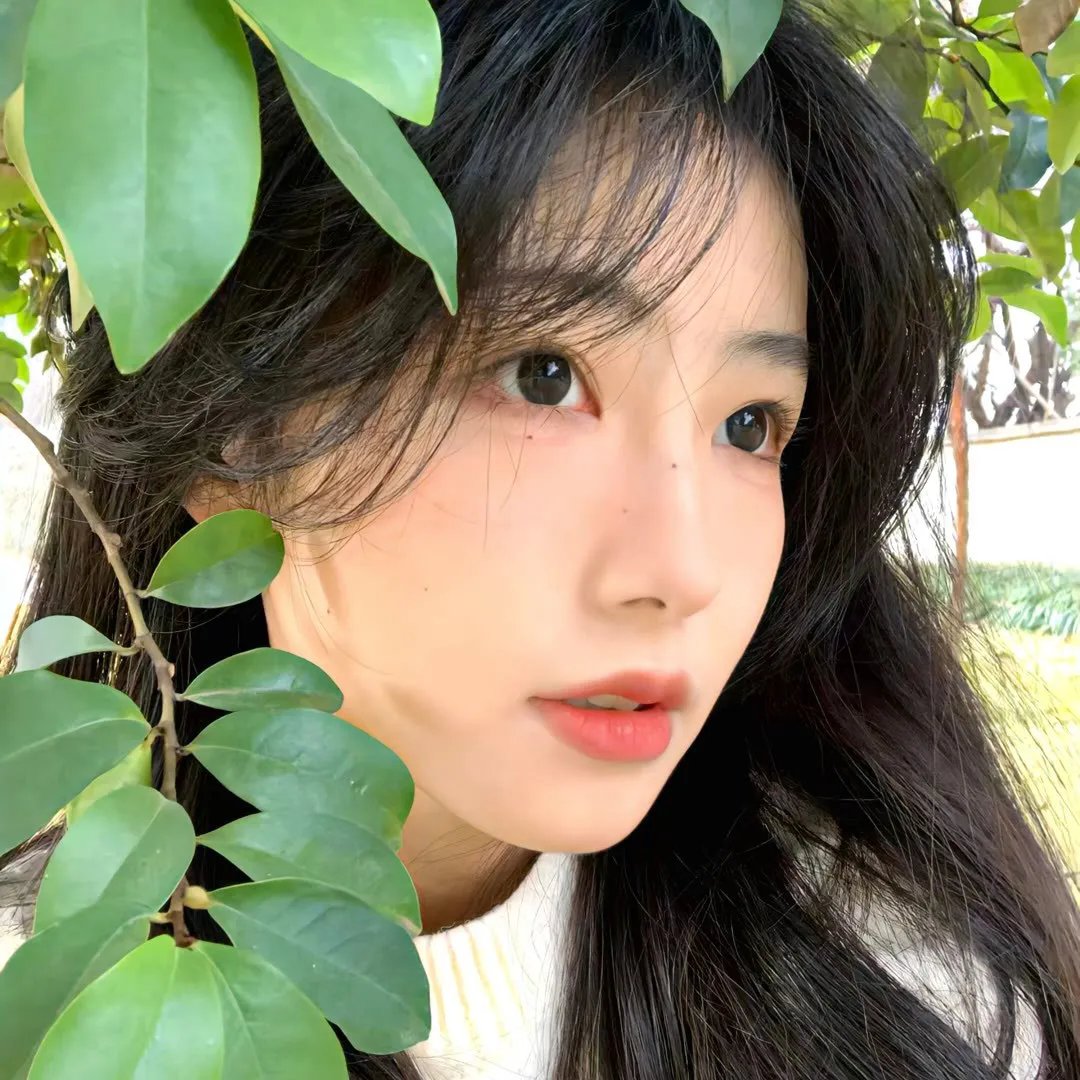 我的冤家住对门